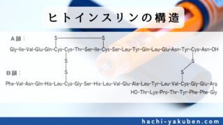 ヒトインスリンの構造【薬剤師国家試験100回問209】