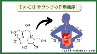【薬剤師解説】サラシアの作用機序