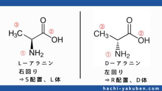 【アミノ酸】L体とD体の見分け方