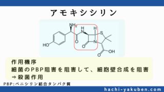 【ゴロ不要！】構造で覚えるペプチドトランスポーターの基質薬物