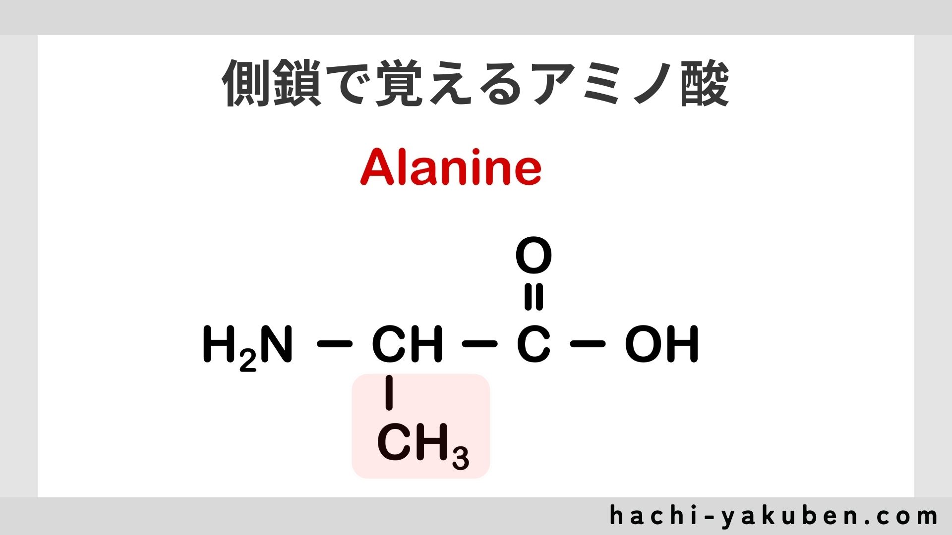 【もう忘れない】側鎖で覚えるアミノ酸の構造式