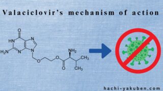 バラシクロビルとテオフィリンの併用【薬剤師国家試験104回問212,213】