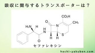 セファレキシンの吸収に関与するトランスポーターは？【薬剤師国家試験107回問41】