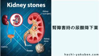 腎障害時の高尿酸血症治療薬【薬剤師国家試験103回問340】