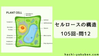 セルロースの構造【薬剤師国家試験105回問12】