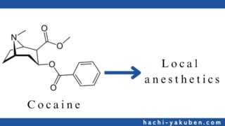 コカインの化学構造を基に創出された局所麻酔薬はどれか。【薬剤師国家試験104回問107】