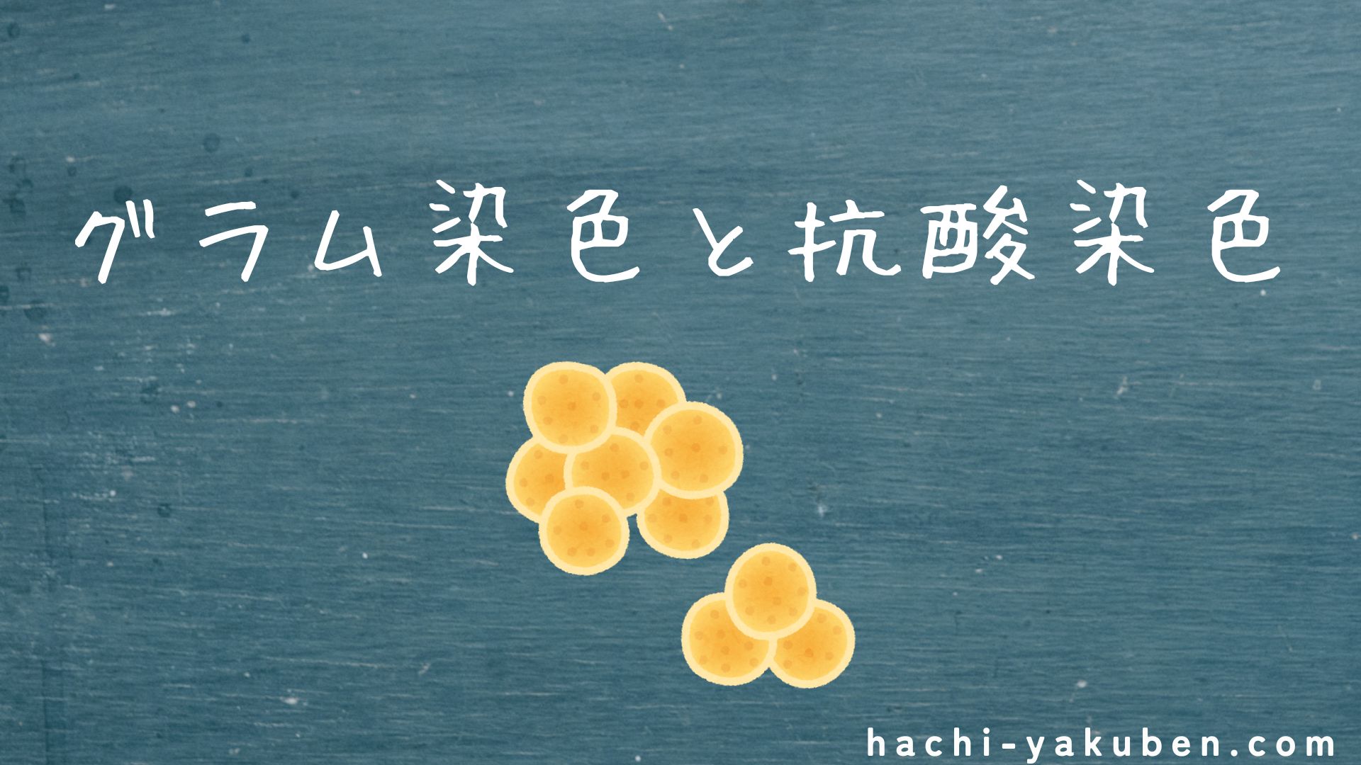 グラム染色と抗酸染色【薬剤師国家試験109回問119】