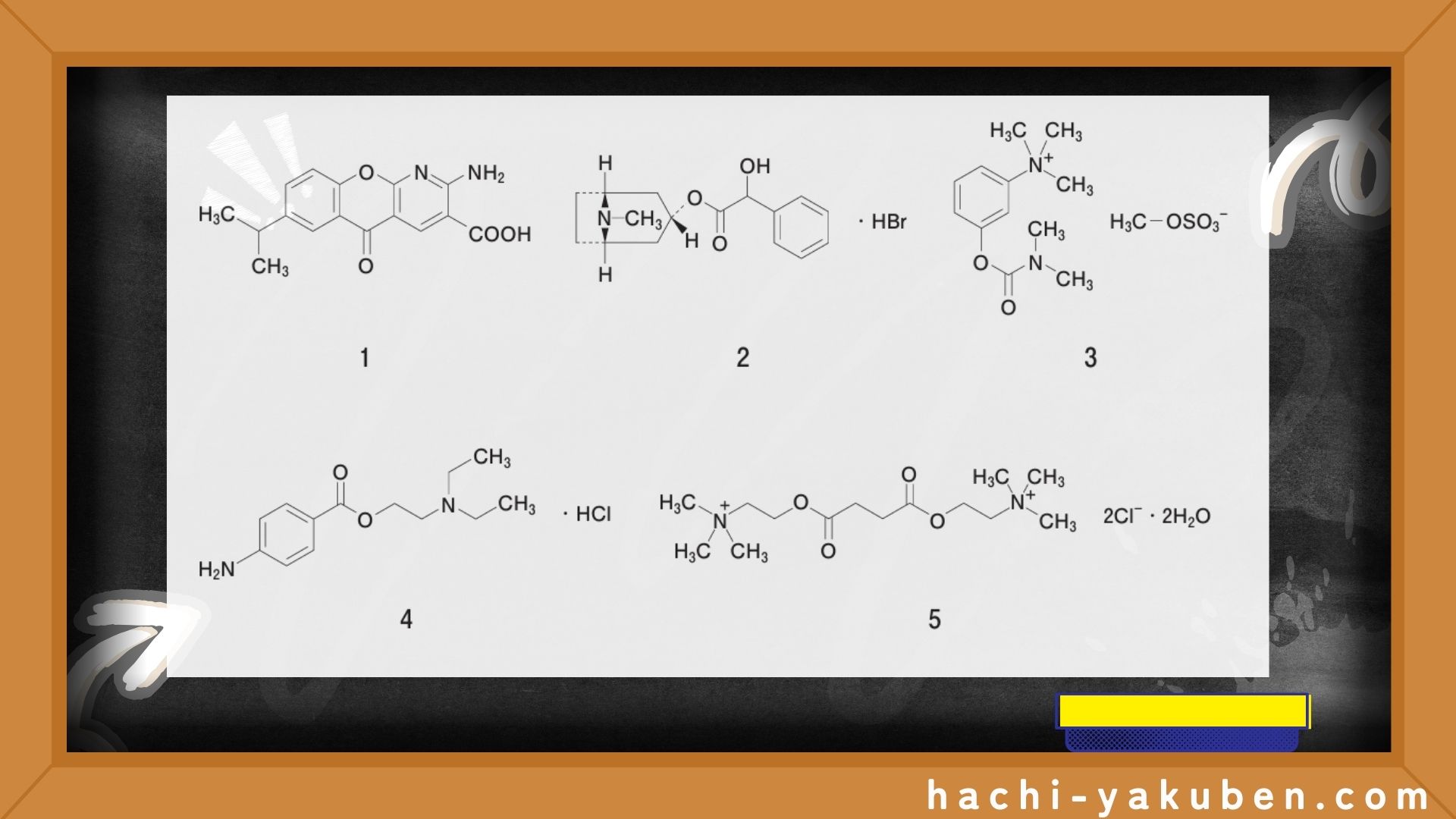 コカインの化学構造を基に創出された局所麻酔薬【薬剤師国家試験104回問107】