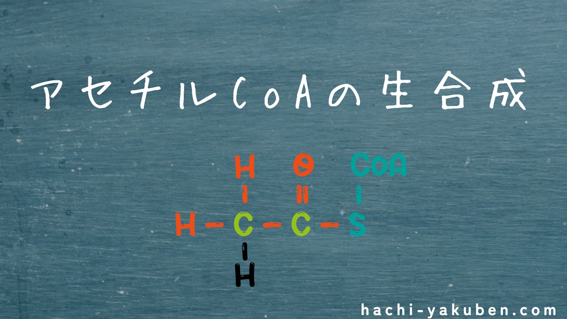 アセチルCoAの生合成【薬剤師国家試験110回問105】