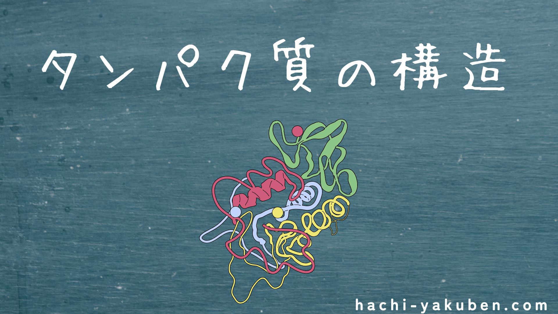 タンパク質の構造【薬剤師国家試験108回問102】