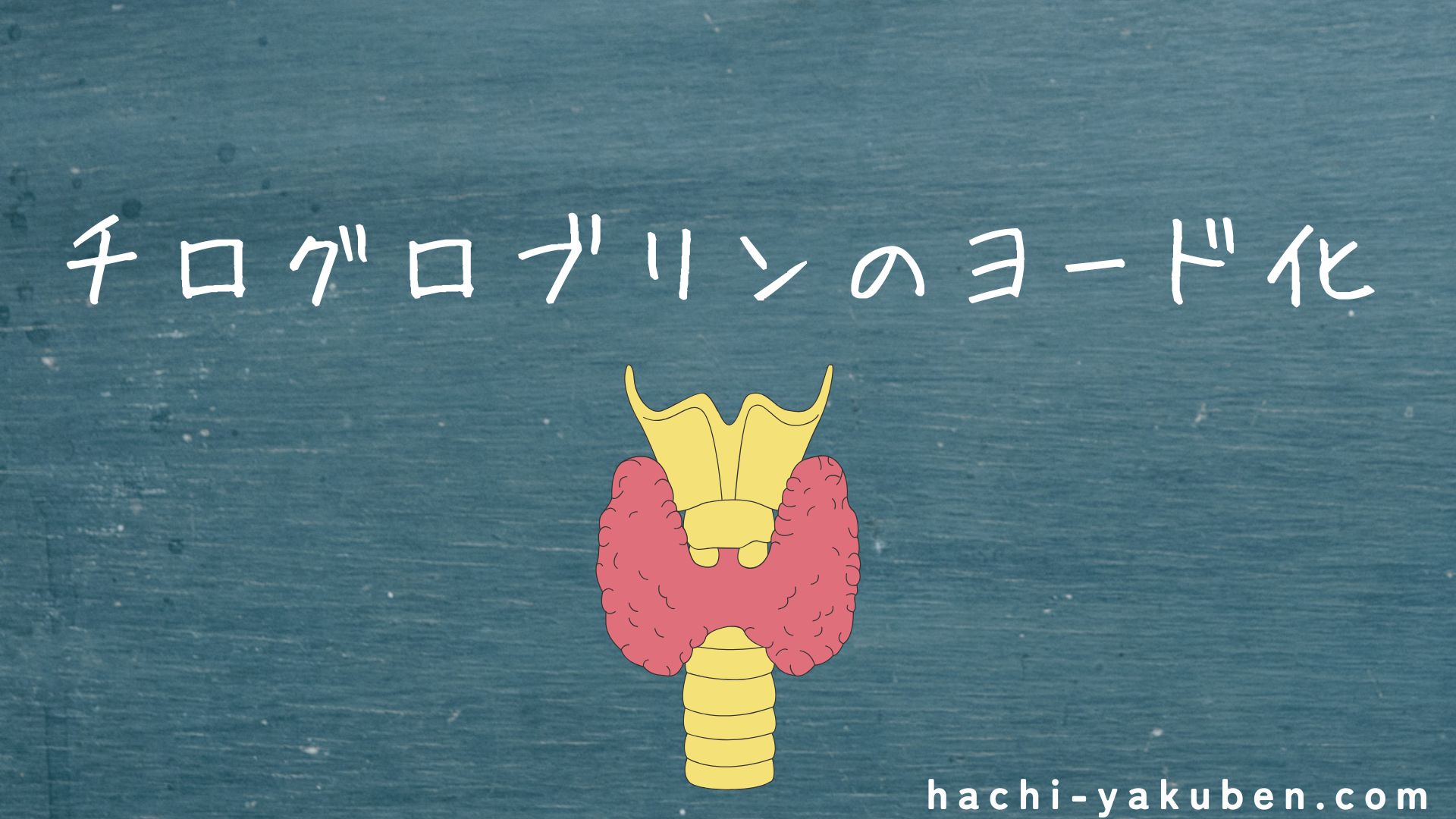 チログロブリンのヨード化【薬剤師国家試験110回問112】